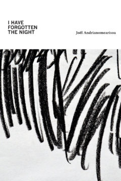 I Have FORGOTTEN The NIGHT  Joël Andrianomearisoa