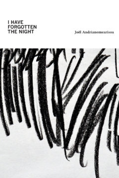 I Have FORGOTTEN The NIGHT Joël Andrianomearisoa I Have FORGOTTEN The NIGHT Joël Andrianomearisoa